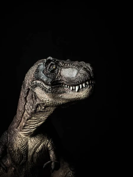 Tyrannosaurus t-rex Dinosaurier auf schwarzem Hintergrund — Stockfoto