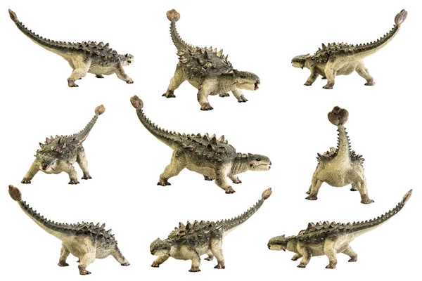 Ankylosaurus Dinosaurio Sobre Fondo Blanco —  Fotos de Stock