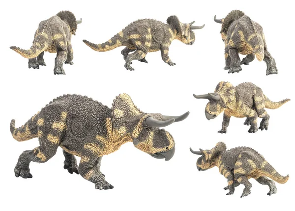 Nasutoceratops Dinosaure Sur Fond Blanc — Photo