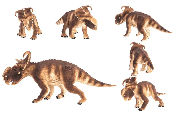 Пахиринозавр Динозавр Белом Фоне — стоковое фото