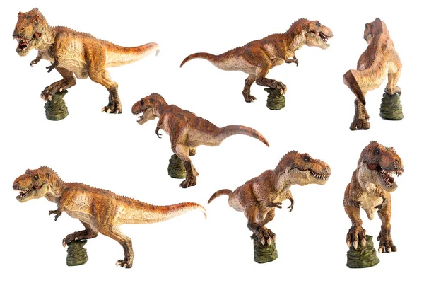 Tiranossauro Rex Dinossauro Sobre Fundo Branco — Fotografia de Stock