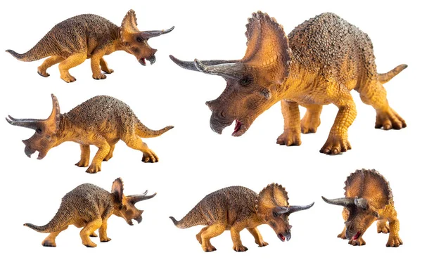 Triceratops Dinoszaurusz Fehér Háttér — Stock Fotó