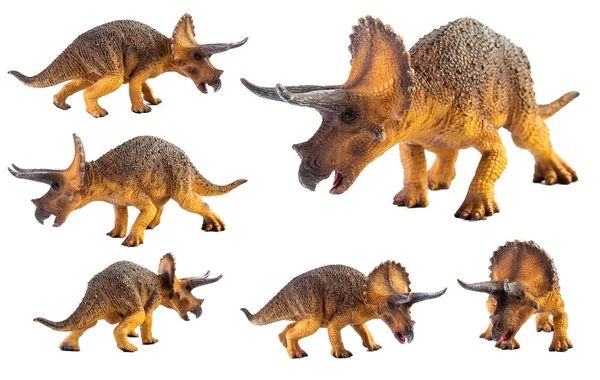 Triceratops Динозаврів Білому Тлі — стокове фото