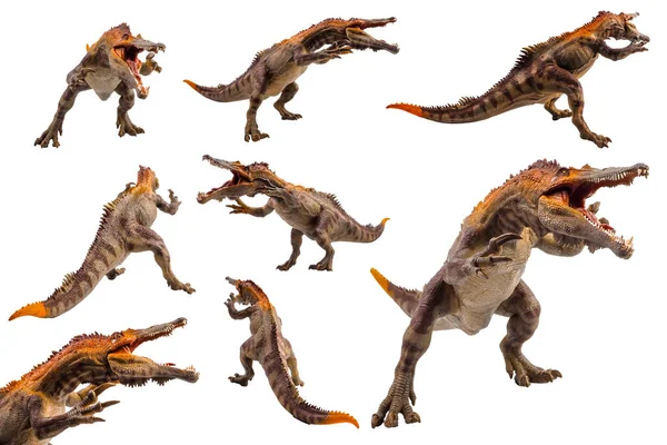 Барионикс Динозавр Белом Фоне — стоковое фото