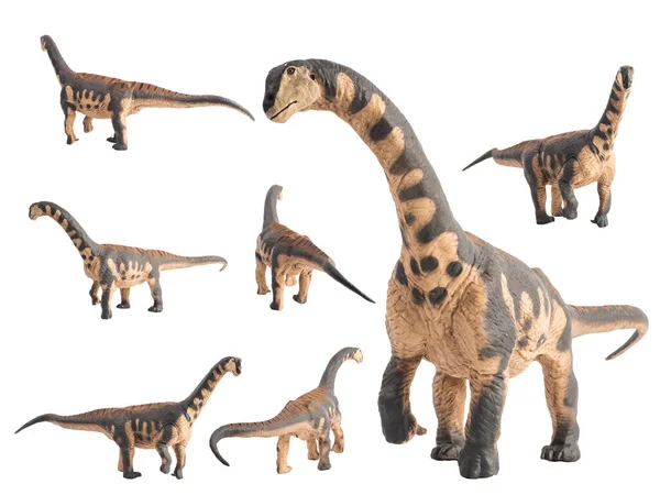 Camarasaurus Dinosaurus Bílém Pozadí — Stock fotografie