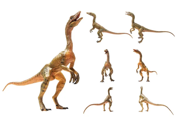 Compsognathus Dinosaur Белом Фоне — стоковое фото