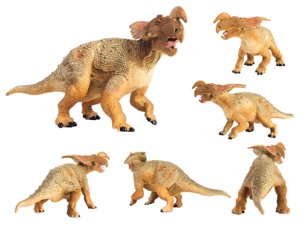 Dinosaurio Einiosaurus Sobre Fondo Blanco — Foto de Stock