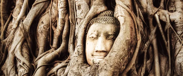 Bouddha Pourriture Thaïlande Ruines Antiquités Parc Historique Ayutthaya Bannière — Photo