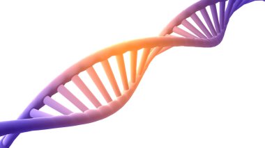 Üç boyutlu DNA yapısını çokgen geniş çerçeveli DNA izole edilmiş arka plan. 3B illüstrasyon