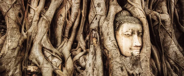 Bouddha Pourriture Thaïlande Ruines Antiquités Parc Historique Ayutthaya Bannière — Photo