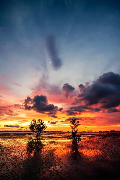 Paisaje Natural Escénico Hermoso Cielo Crepuscular Krabi Tailandia —  Fotos de Stock