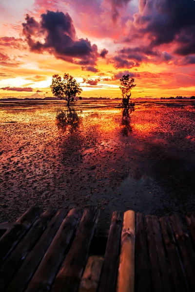 Natuurlandschap Van Prachtige Schemerlucht Krabi Thailand — Stockfoto