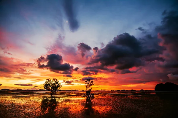 Natuurlandschap Van Prachtige Schemerlucht Krabi Thailand — Stockfoto