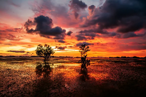 Natürliche Landschaft Mit Wunderschönem Abendhimmel Krabi Thailand — Stockfoto