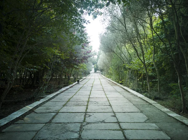 Calle vacía en el bonito y cómodo jardín por la mañana . — Foto de Stock