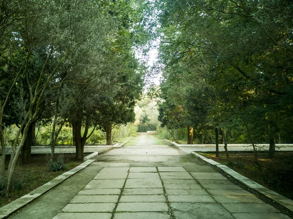 Calle vacía en el bonito y cómodo jardín por la mañana . —  Fotos de Stock