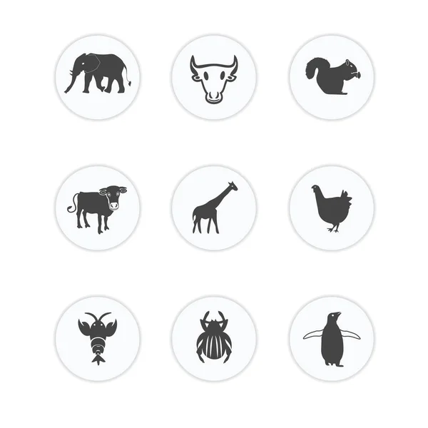 Ікона сільського господарства Набір ілюстрацій ізольований векторний знак — стоковий вектор
