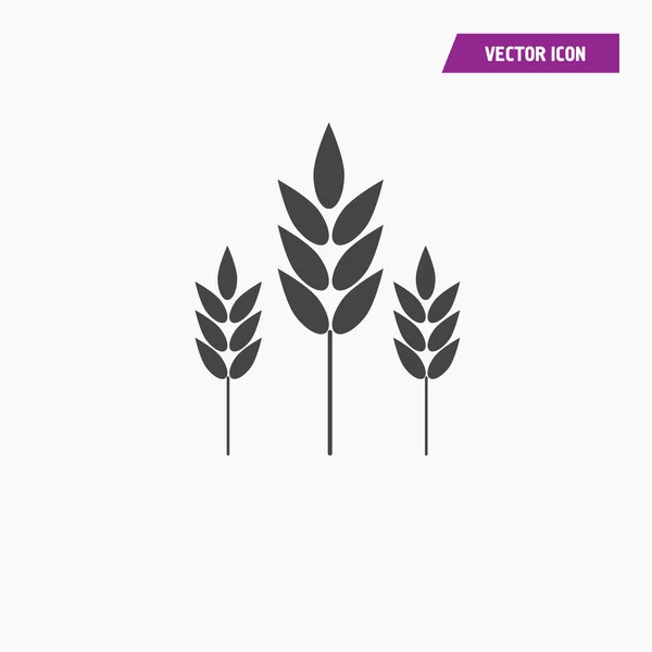 Icono de grano ilustración símbolo de signo de vector aislado — Vector de stock