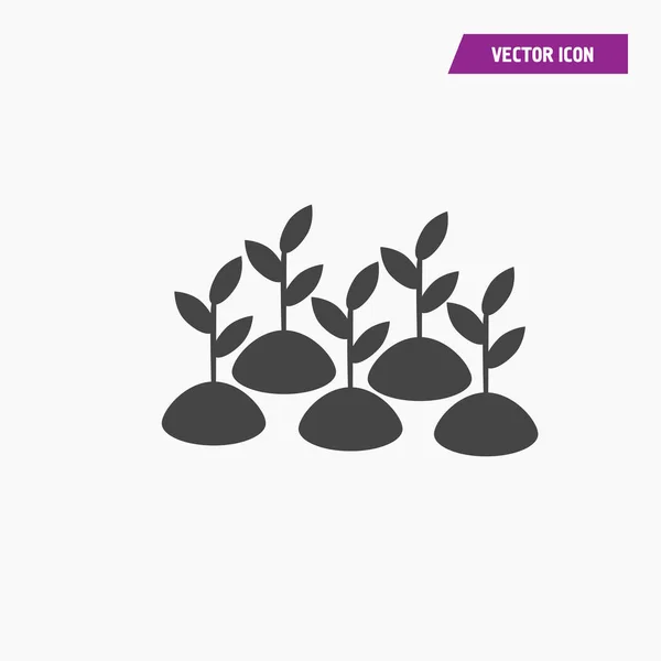 Icono de línea- Sprout ilustración símbolo de signo vectorial aislado — Vector de stock