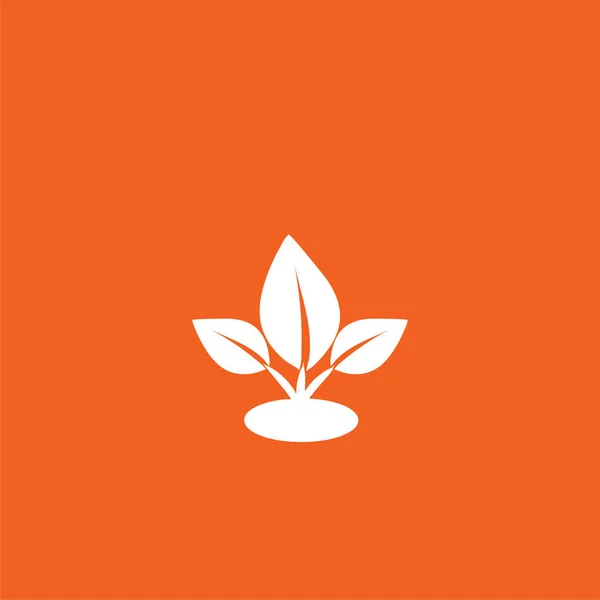 Logotipos de hoja blanca, hojas en fuente naranja . — Vector de stock