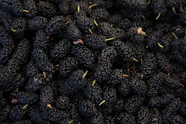 Kara dut meyvesi stokta