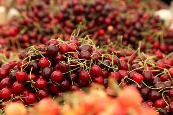 Cerezas rojas en las bandejas del mercado para la venta — Foto de Stock