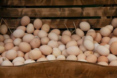 Çiftlikteki tepside biyolojik yumurtalar var.