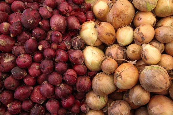 Cebollas rojas y blancas en el supermercado — Foto de Stock