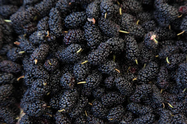 Fruta morera fresca negra en el mercado — Foto de Stock