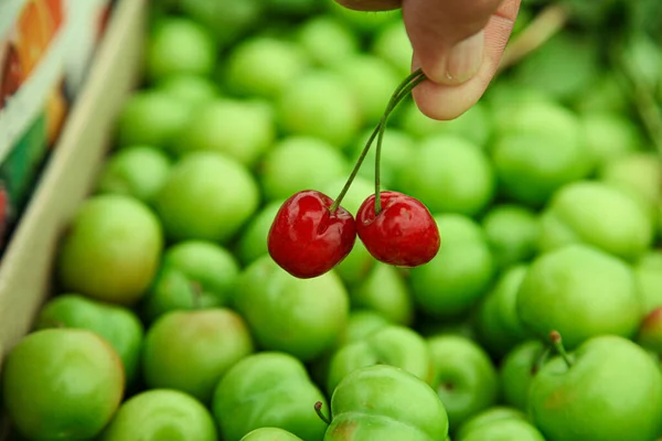 Cerezas rojas con ciruelas verdes amargas en el fondo — Foto de Stock