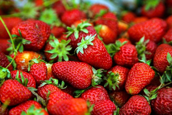Frische rote Erdbeeren mit grünen Blättern — Stockfoto
