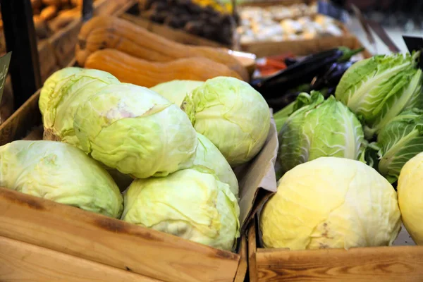 Kohl und Salat in Holzschalen — Stockfoto