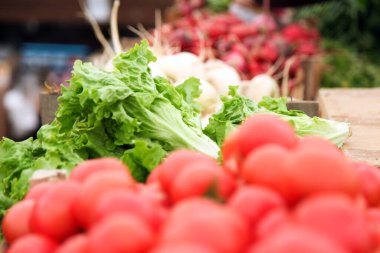 Marketteki diğer sebzelerin yanında yeşil marul.