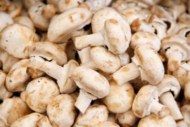 Markette taze beyaz mantar