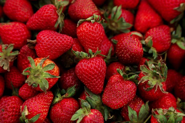 Erdbeeren im Lebensmittelvorrat — Stockfoto