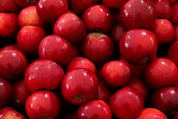 Manzanas rojas brillantes en el almacén —  Fotos de Stock