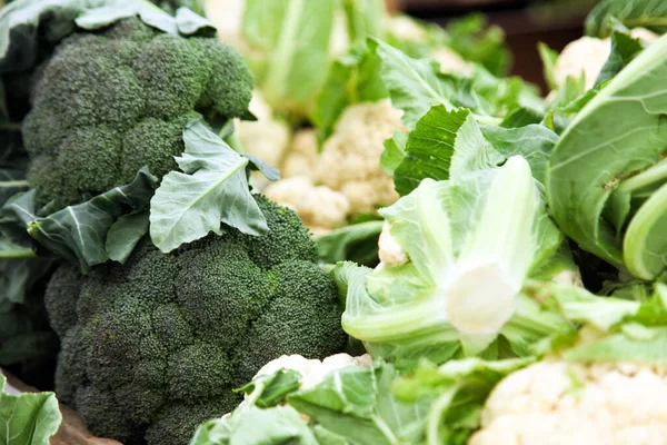 Brokoli dan kembang kol dengan daun hijau — Stok Foto