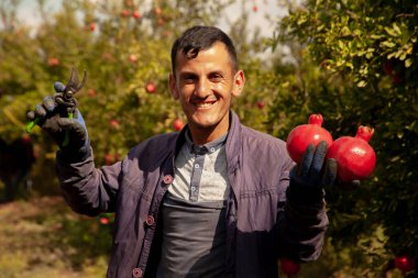 Elinde kırmızı nar ve sciccors tutan bir çiftçi.