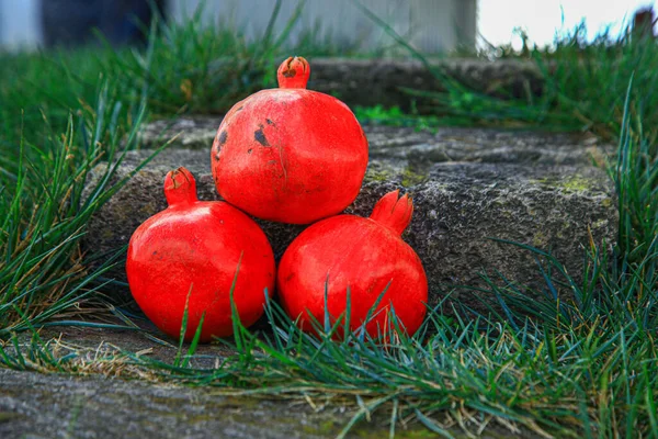Taşın üzerindeki yeşil çimlerin üzerinde nar.