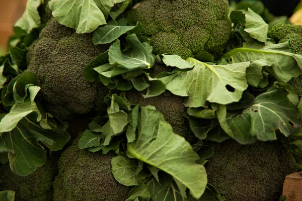Brokoli hijau dengan daun segar — Stok Foto