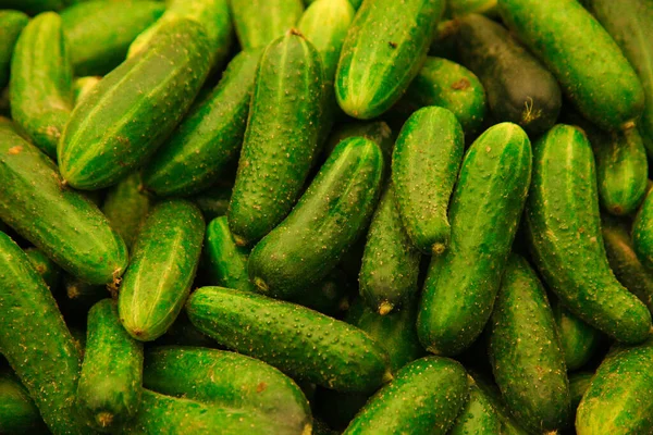 Green pickles in the stock of grocery — Stock Photo, Image