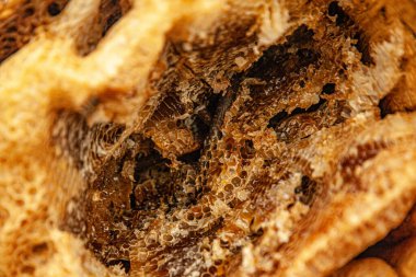 İçinde bal olan siyah arı kovanı.