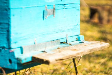 Etrafında bal arıları olan mavi ahşap bir arı kovanı kutusu