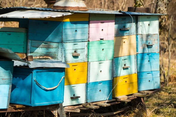 Caixas coloridas de colmeia de madeira nas terras agrícolas — Fotografia de Stock