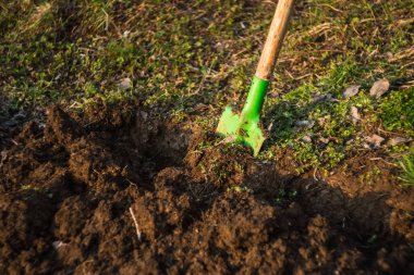Yeşil kürekle toprağı kazıyorum.