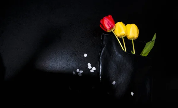 Beautiful Tulips Black Bag Interesting Background — Stock Photo, Image