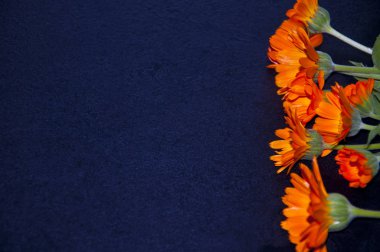 siyah bir zemin üzerine yele turuncu çiçekler