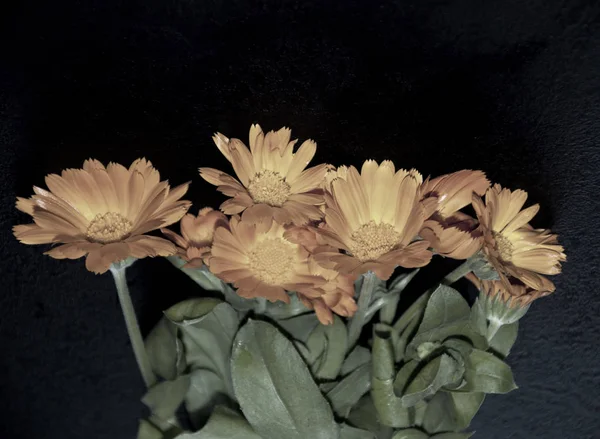 黒いテーブルの上の素敵なオレンジ色の花 — ストック写真