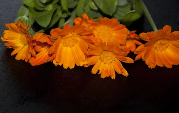 Bonitas Flores Naranjas Sobre Fondo Negro —  Fotos de Stock