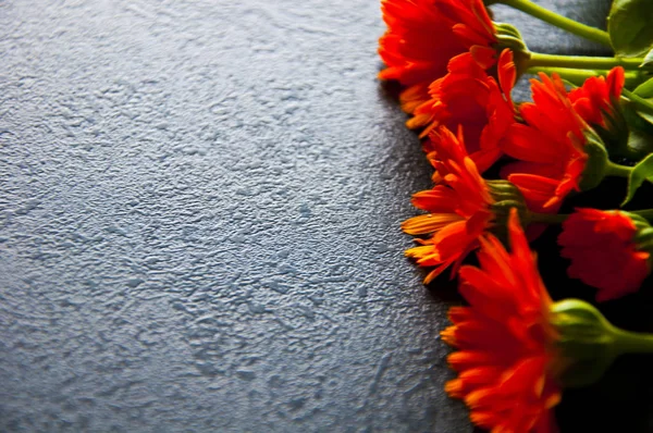 Een Heleboel Oranje Bloemen Een Zwarte Achtergrond — Stockfoto